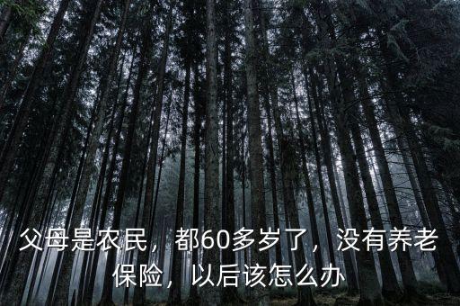父母是農(nóng)民，都60多歲了，沒(méi)有養(yǎng)老保險(xiǎn)，以后該怎么辦