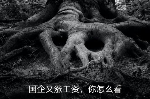 國企又漲工資，你怎么看