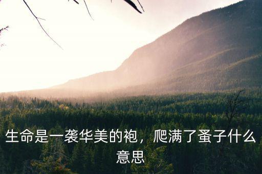生命是一襲華美的袍，爬滿了蚤子什么意思