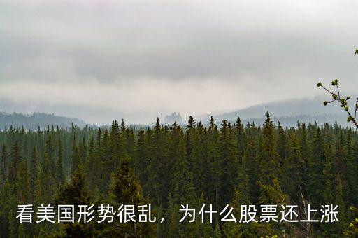 看美國(guó)形勢(shì)很亂，為什么股票還上漲