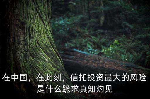 在中國，在此刻，信托投資最大的風(fēng)險是什么跪求真知灼見