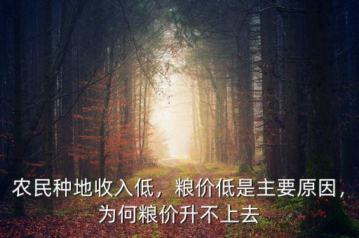 農(nóng)民種地收入低，糧價低是主要原因，為何糧價升不上去