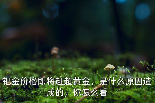 鈀金價(jià)格即將趕超黃金，是什么原因造成的，你怎么看