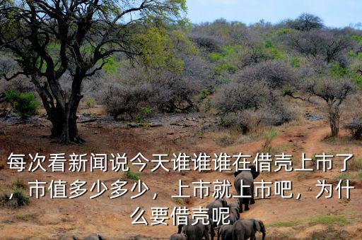 每次看新聞說今天誰誰誰在借殼上市了，市值多少多少，上市就上市吧，為什么要借殼呢