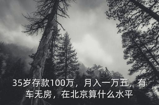 35歲存款100萬，月入一萬五，有車無房，在北京算什么水平