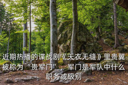 近期熱播的諜戰(zhàn)劇《天衣無縫》里貴翼被稱為“貴軍門”，軍門是軍隊(duì)中什么職務(wù)或級(jí)別
