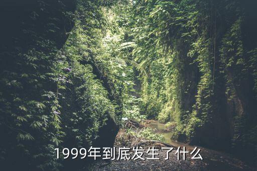 1999年到底發(fā)生了什么