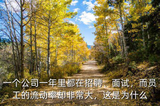 一個(gè)公司一年里都在招聘、面試，而員工的流動(dòng)率卻非常大，這是為什么