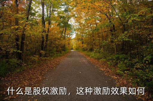 什么是股權(quán)激勵，這種激勵效果如何