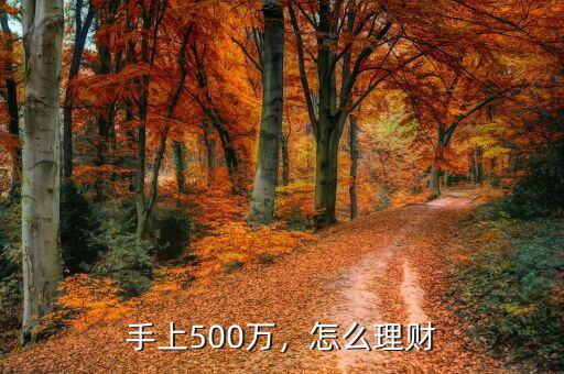 手上500萬(wàn)，怎么理財(cái)