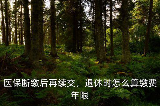 醫(yī)保斷繳后再續(xù)交，退休時怎么算繳費年限