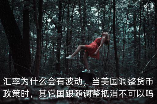 匯率為什么會(huì)有波動(dòng)，當(dāng)美國(guó)調(diào)整貨幣政策時(shí)，其它國(guó)跟隨調(diào)整抵消不可以嗎