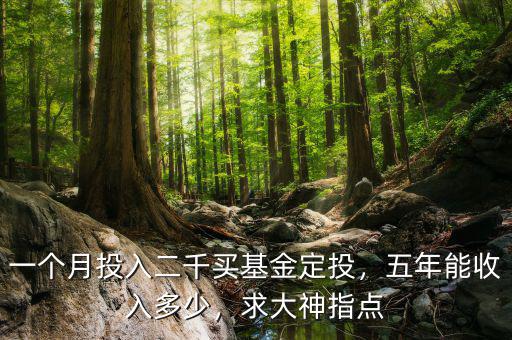 一個月投入二千買基金定投，五年能收入多少，求大神指點