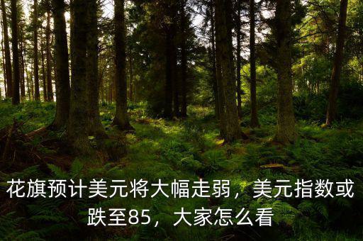 花旗預計美元將大幅走弱，美元指數(shù)或跌至85，大家怎么看
