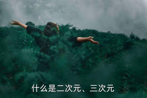 什么是二次元、三次元
