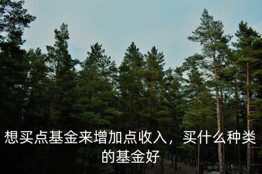 買(mǎi)什么基金好呢2015,買(mǎi)什么種類(lèi)的基金好