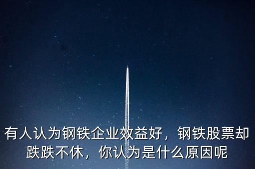 有人認(rèn)為鋼鐵企業(yè)效益好，鋼鐵股票卻跌跌不休，你認(rèn)為是什么原因呢