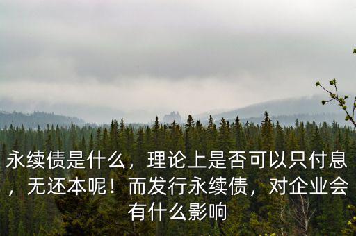 永續(xù)債是什么，理論上是否可以只付息，無還本呢！而發(fā)行永續(xù)債，對(duì)企業(yè)會(huì)有什么影響