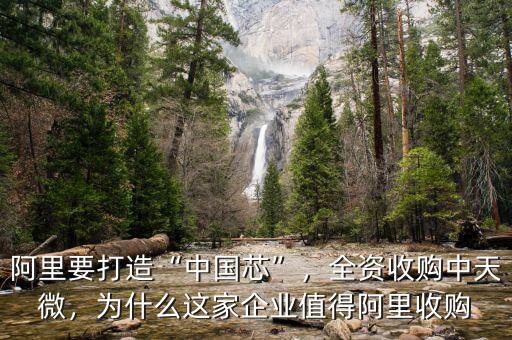阿里要打造“中國芯”，全資收購中天微，為什么這家企業(yè)值得阿里收購