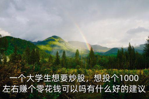 一個大學生想要炒股，想投個1000左右賺個零花錢可以嗎有什么好的建議