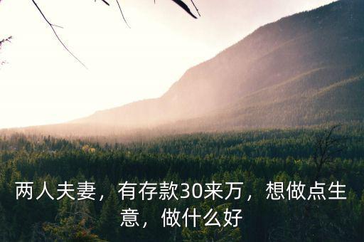 兩人夫妻，有存款30來萬，想做點生意，做什么好