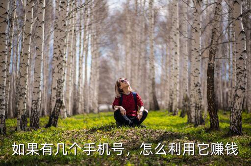 如果有幾個手機(jī)號，怎么利用它賺錢