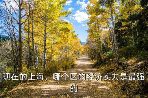 現(xiàn)在的上海，哪個區(qū)的經(jīng)濟實力是最強的