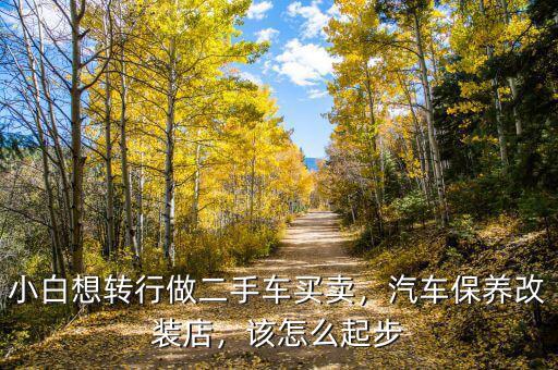 小白想轉(zhuǎn)行做二手車買賣，汽車保養(yǎng)改裝店，該怎么起步