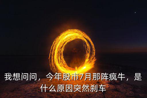 我想問問，今年股市7月那陣瘋牛，是什么原因突然剎車