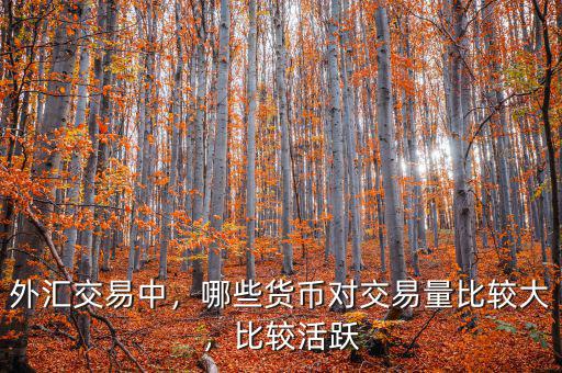 外匯交易中，哪些貨幣對交易量比較大，比較活躍