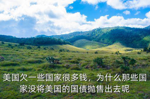 美國欠一些國家很多錢，為什么那些國家沒將美國的國債拋售出去呢