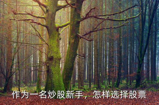 作為一名炒股新手，怎樣選擇股票