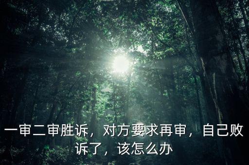 一審二審勝訴，對(duì)方要求再審，自己敗訴了，該怎么辦