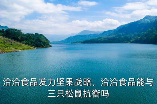 洽洽食品發(fā)力堅(jiān)果戰(zhàn)略，洽洽食品能與三只松鼠抗衡嗎