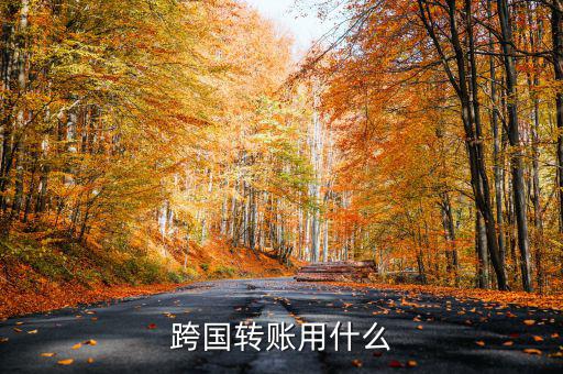 跨國生意都是有什么,跨國轉(zhuǎn)賬用什么