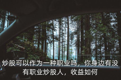 炒股可以作為一種職業(yè)嗎，你身邊有沒(méi)有職業(yè)炒股人，收益如何