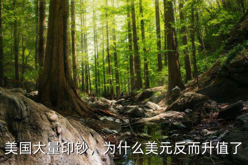 美國(guó)大量印鈔，為什么美元反而升值了