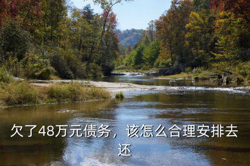 欠了48萬元債務(wù)，該怎么合理安排去還