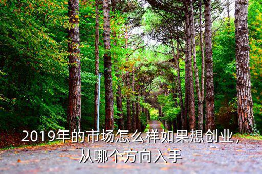 2019年的市場(chǎng)怎么樣如果想創(chuàng)業(yè)，從哪個(gè)方向入手