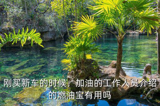 剛買新車的時候，加油的工作人員介紹的燃油寶有用嗎