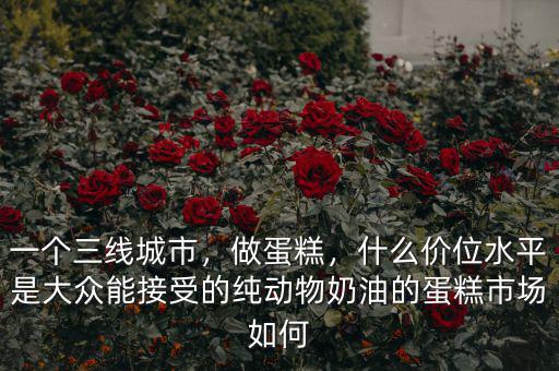 一個三線城市，做蛋糕，什么價位水平是大眾能接受的純動物奶油的蛋糕市場如何