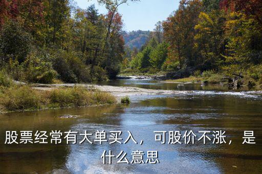 股票經常有大單買入，可股價不漲，是什么意思