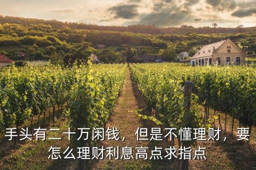 手頭有二十萬(wàn)閑錢(qián)，但是不懂理財(cái)，要怎么理財(cái)利息高點(diǎn)求指點(diǎn)