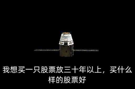 我想買一只股票放三十年以上，買什么樣的股票好