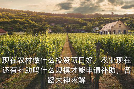 現(xiàn)在農(nóng)村做什么投資項(xiàng)目好，農(nóng)業(yè)現(xiàn)在還有補(bǔ)助嗎什么規(guī)模才能申請補(bǔ)助，各路大神求解