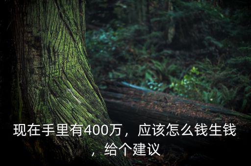 現(xiàn)在手里有400萬，應該怎么錢生錢，給個建議