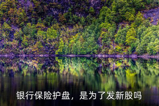 銀行護(hù)盤說(shuō)明什么,銀行保險(xiǎn)護(hù)盤