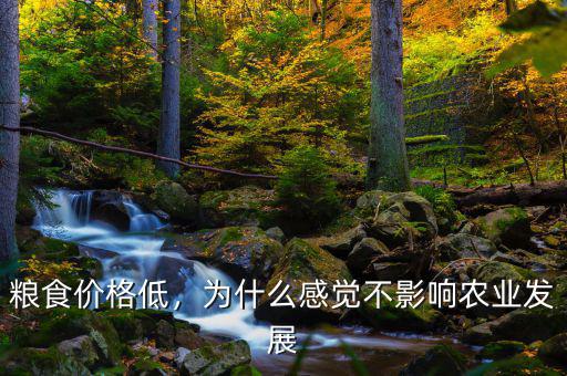 糧食價格低，為什么感覺不影響農(nóng)業(yè)發(fā)展