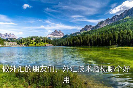 做外匯的朋友們，外匯技術(shù)指標(biāo)哪個好用