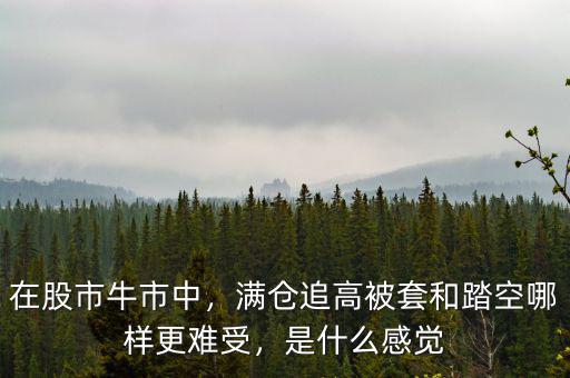 在股市牛市中，滿倉追高被套和踏空哪樣更難受，是什么感覺